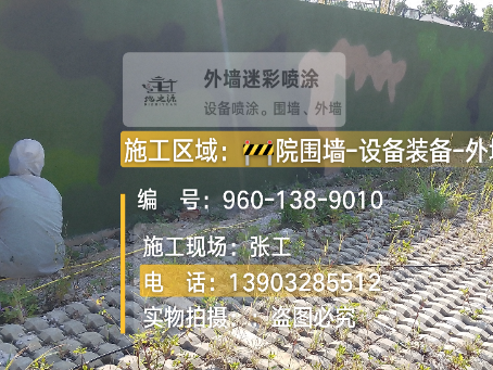 林芝外墙迷彩漆材料价约 45-60 元 /k