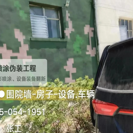 林芝数码迷彩漆施工